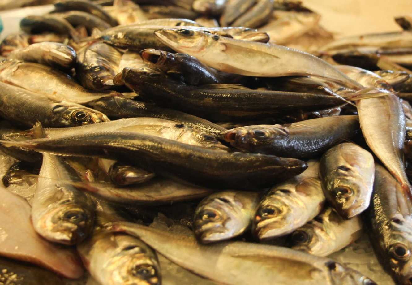 Mercado de Peixe